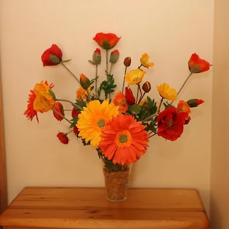Apartment Tomsona Center *