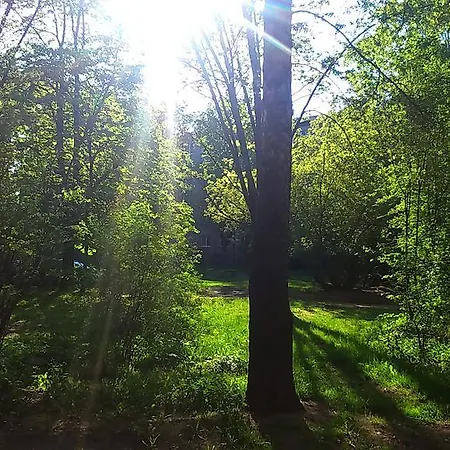 Апартаменты Tomsona Center