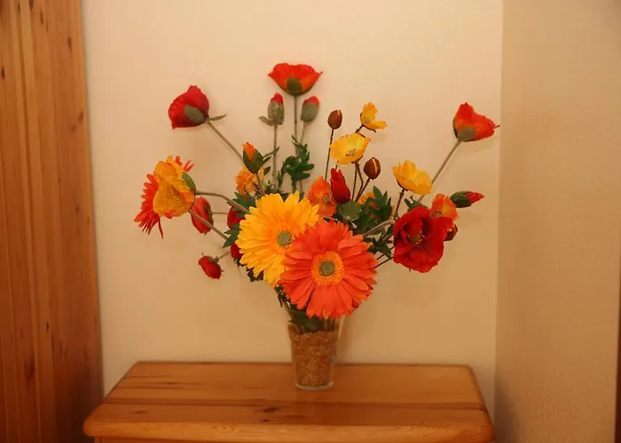 Apartment Tomsona Center *